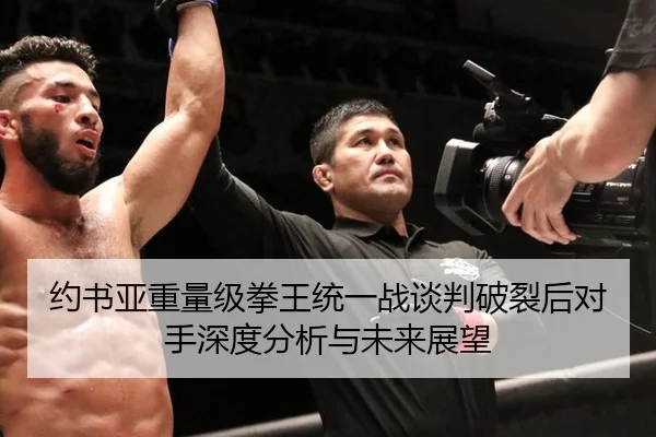 约书亚重量级拳王统一战谈判破裂后对手深度分析与未来展望