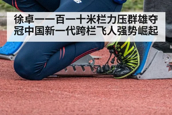 徐卓一一百一十米栏力压群雄夺冠中国新一代跨栏飞人强势崛起